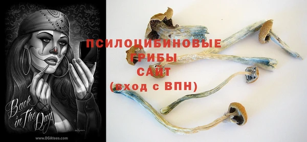 прущие крисы Абинск