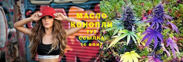 прущий лед Михайлов