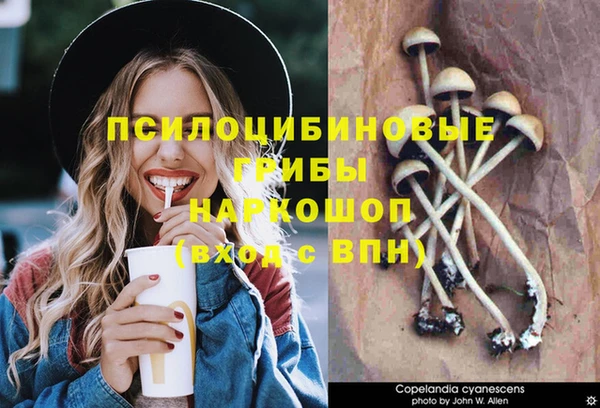 прущий лед Михайлов