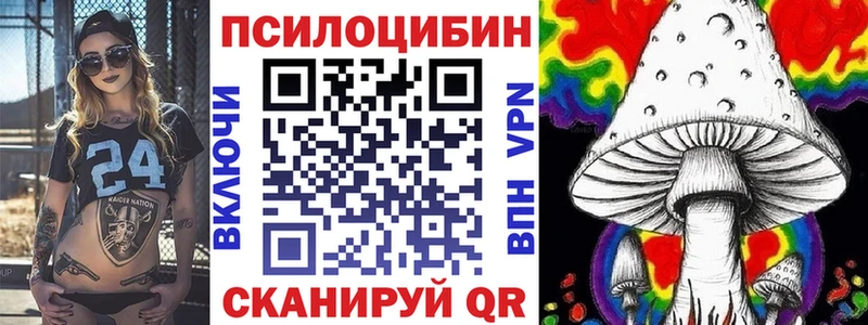 Псилоцибиновые грибы Psilocybine cubensis  наркошоп  Нариманов 